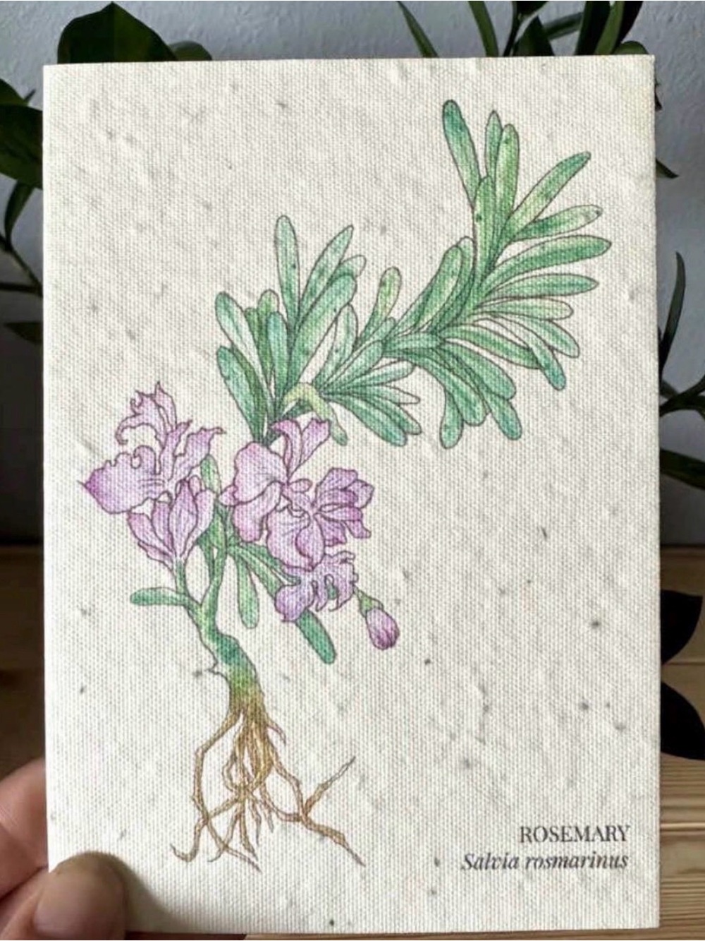 Rosemary Plantable Wildflower Seed Greeting Card